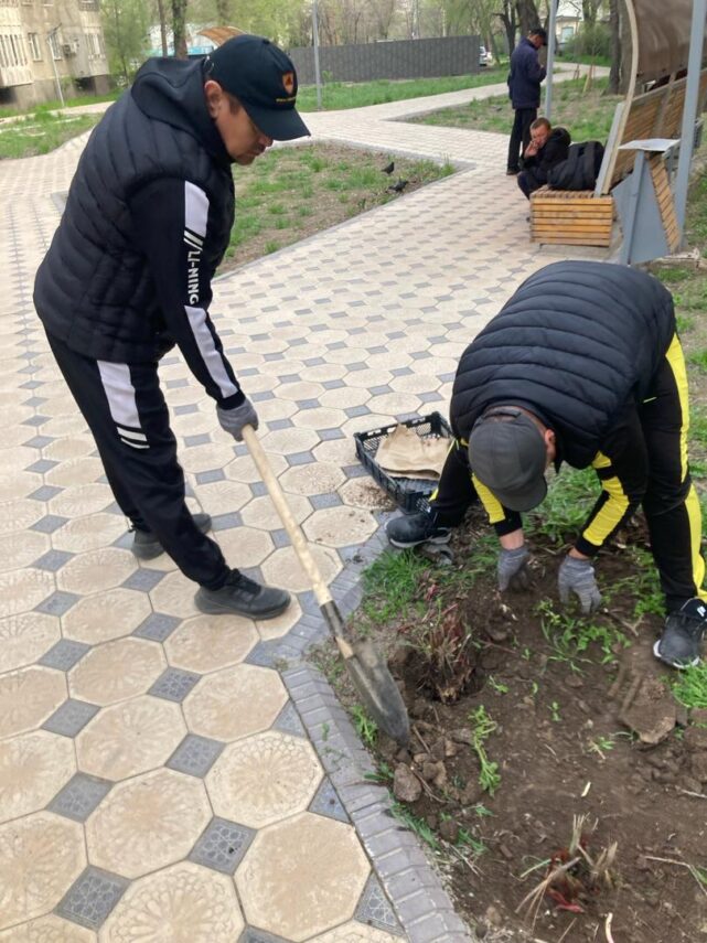 Работники Агентства по защите депозитов Кыргызской Республики вышли на субботник 13 апреля 2024 года и вычистили от мусора, листвы и других бытовых отходов сквер находящийся на пересечении улиц Тимирязева и Боконбаева.