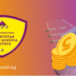 Инвестиции Фонда защиты депозитов: Итоги и структура за 11 месяцев 2024 года.